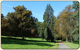 Konopiste castle near Prague